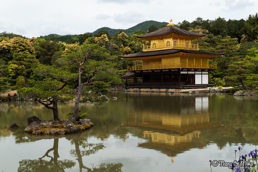 Voyage au Japon - Kinkaku-ji - Pavillon d'or - Kyoto