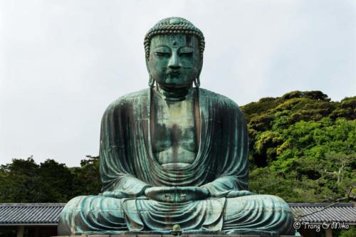 2017 - Japon - Daibutsu Kamakura